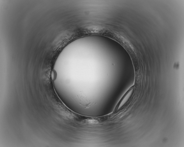 X0000093470509200710261046