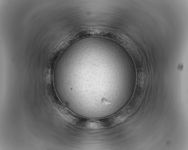 X0000093470510200710261046