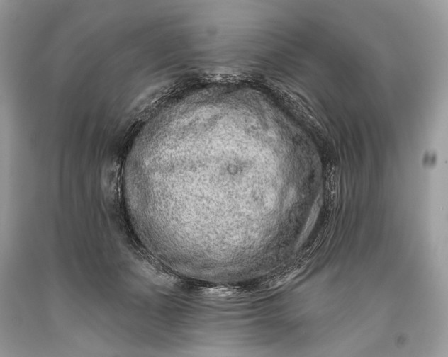 X0000093470511200710261046