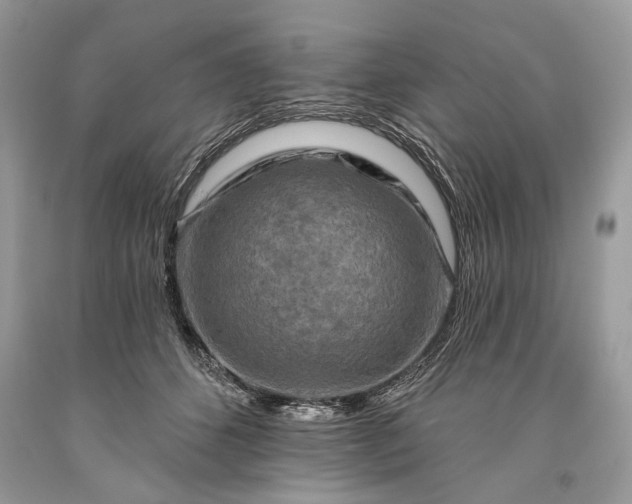 X0000093470512200710261046