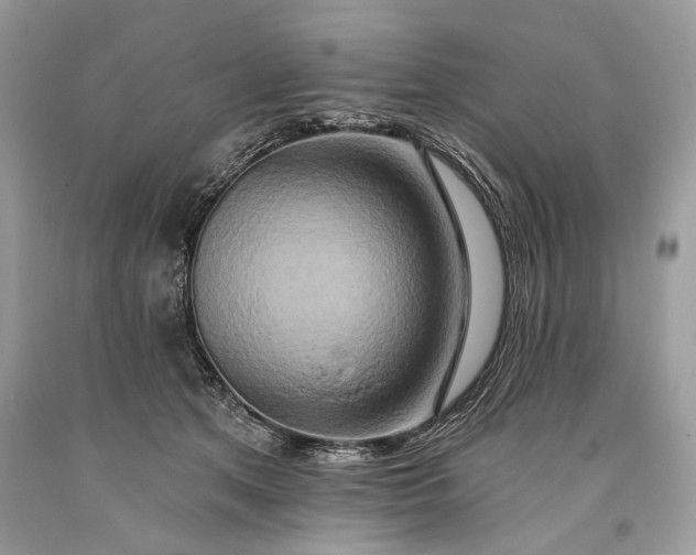 X0000093470513200710261046