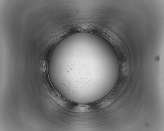 X0000093470514200710261046