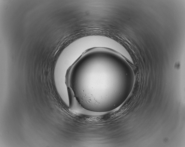 X0000093470516200710261046