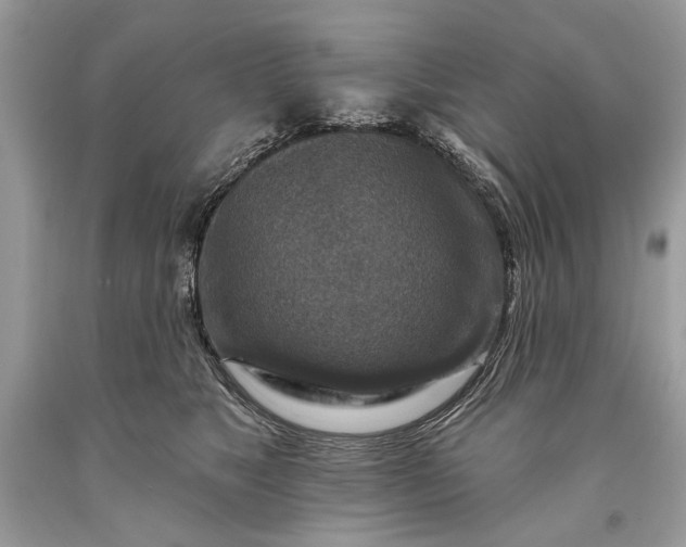 X0000093470517200710261046