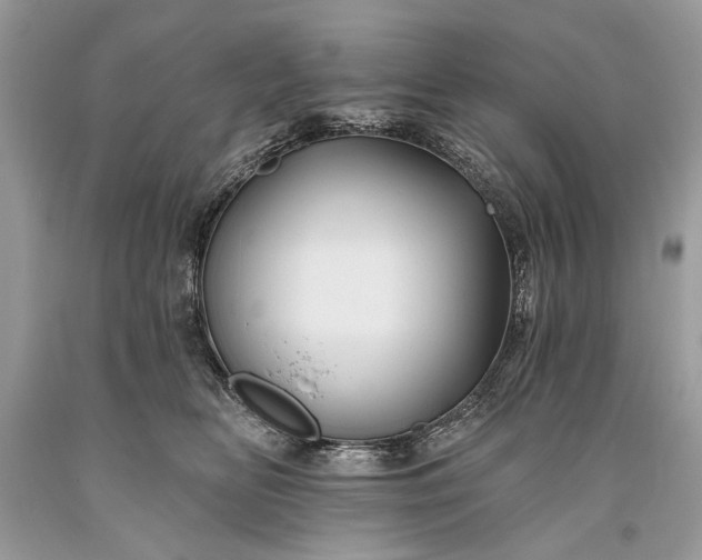 X0000093470518200710261046