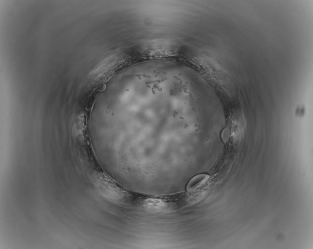 X0000093470519200710261046