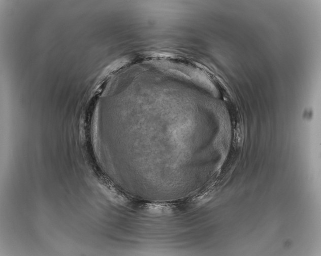 X0000093470520200710261046