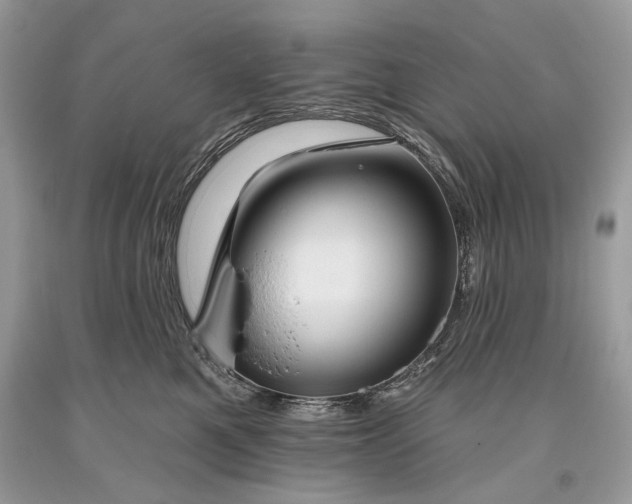 X0000093470521200710261046