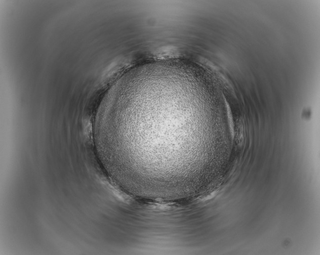 X0000093470523200710261046