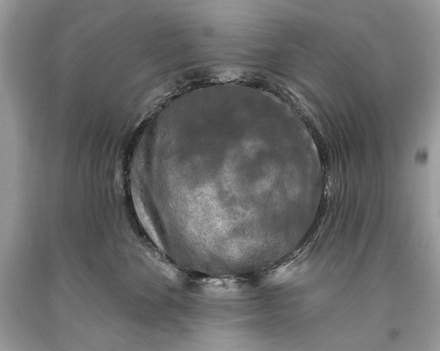 X0000093470524200710261046