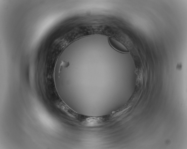 X0000093470526200710261046