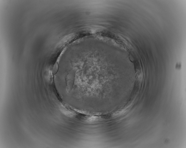 X0000093470527200710261046