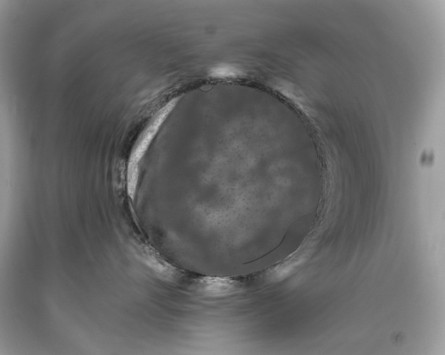 X0000093470528200710261046