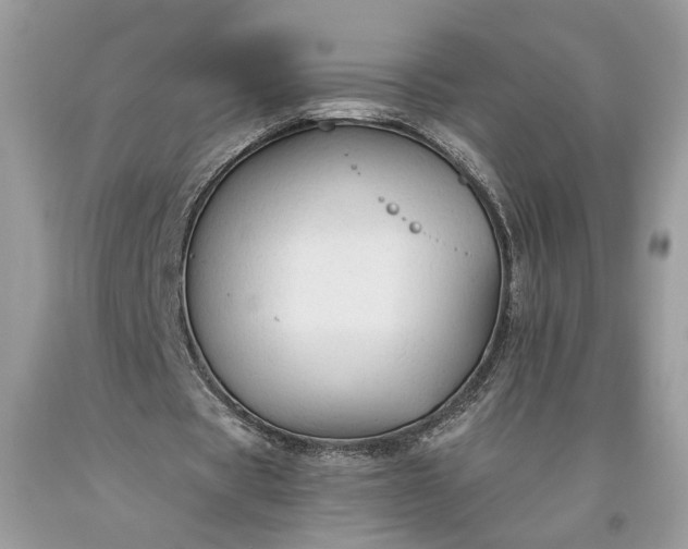 X0000093470529200710261045