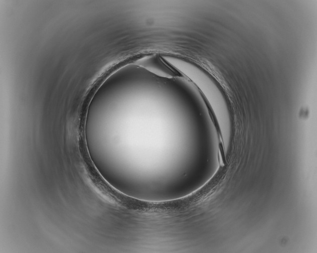 X0000093470530200710261045