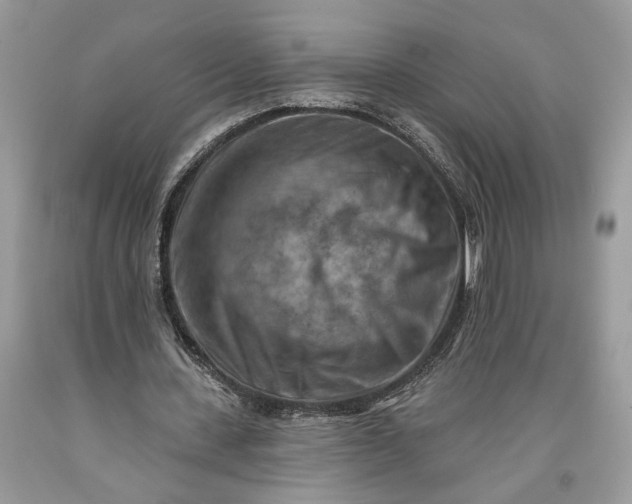 X0000093470531200710261045