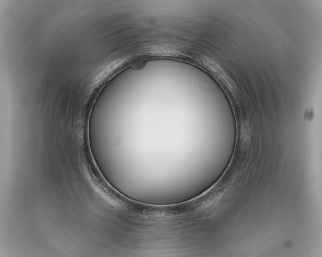 X0000093470533200710261045