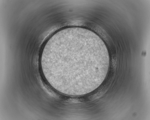 X0000093470534200710261045