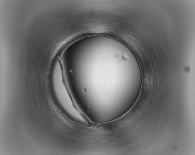 X0000093470535200710261045