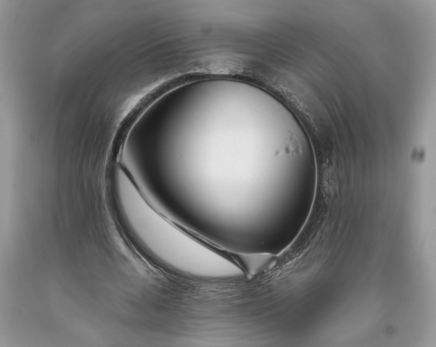 X0000093470536200710261045