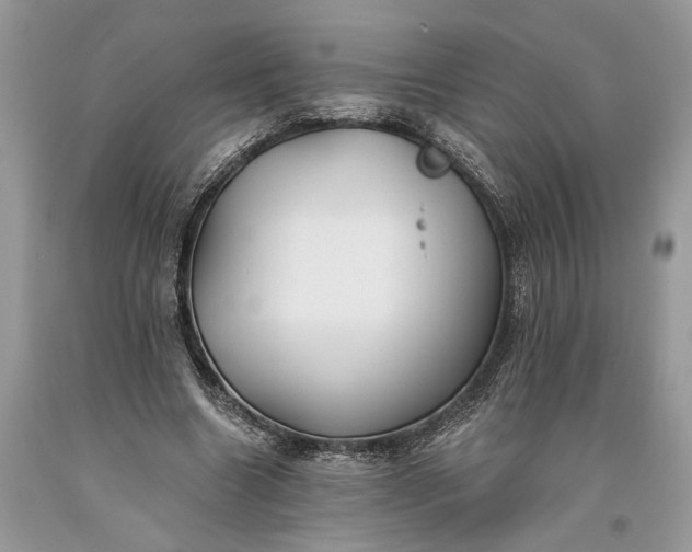 X0000093470538200710261045