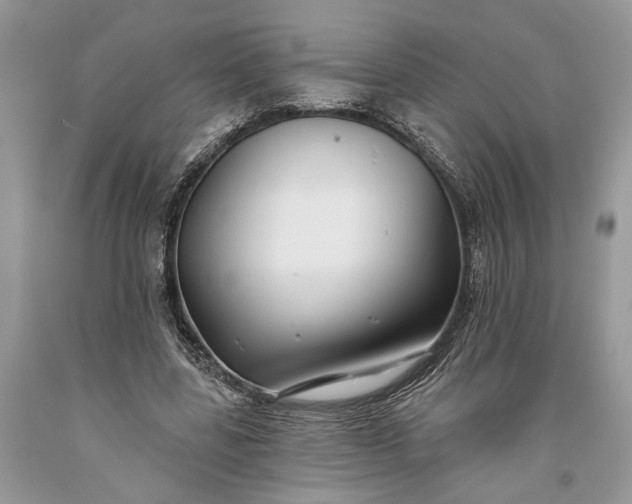 X0000093470539200710261045