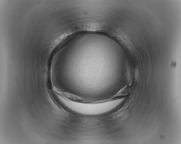 X0000093470540200710261045