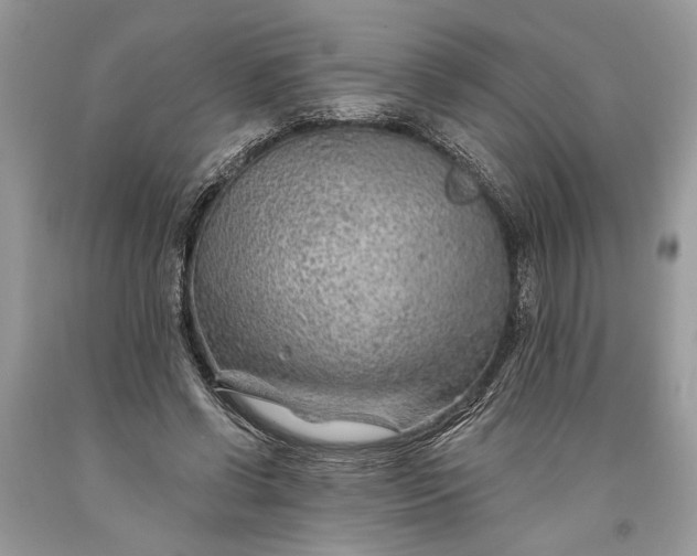 X0000093470542200710261045