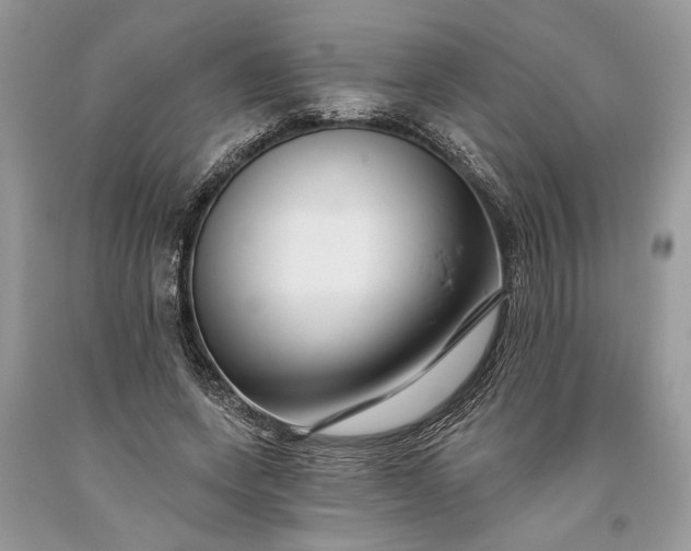 X0000093470543200710261045