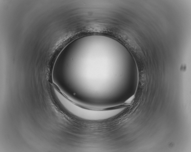 X0000093470544200710261045