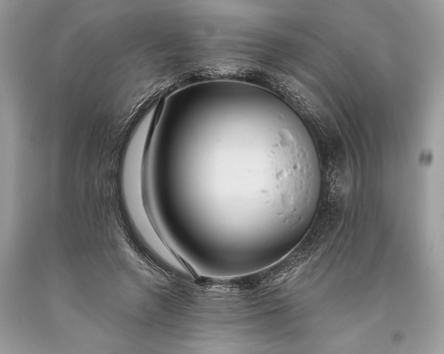 X0000093470546200710261045