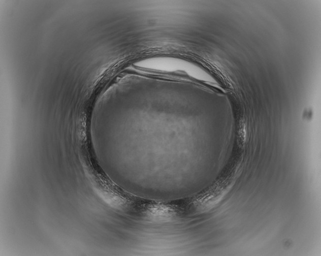 X0000093470547200710261045