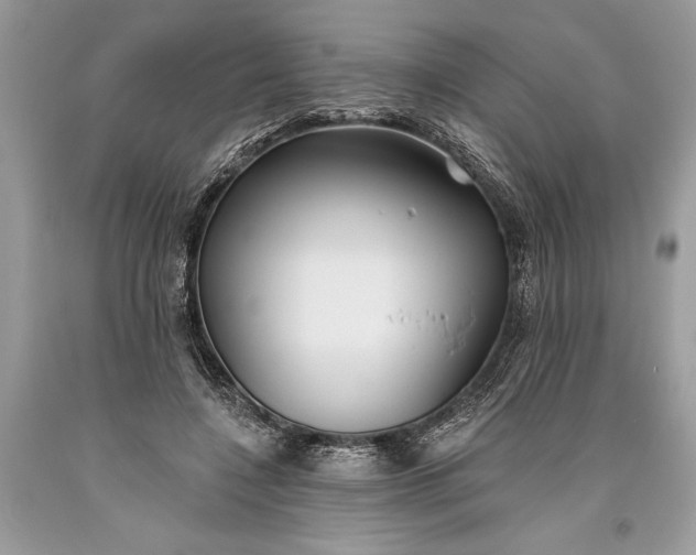 X0000093470548200710261045