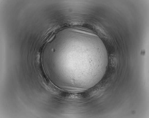 X0000093470550200710261045