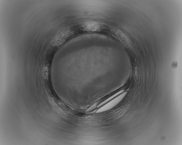 X0000093470551200710261045