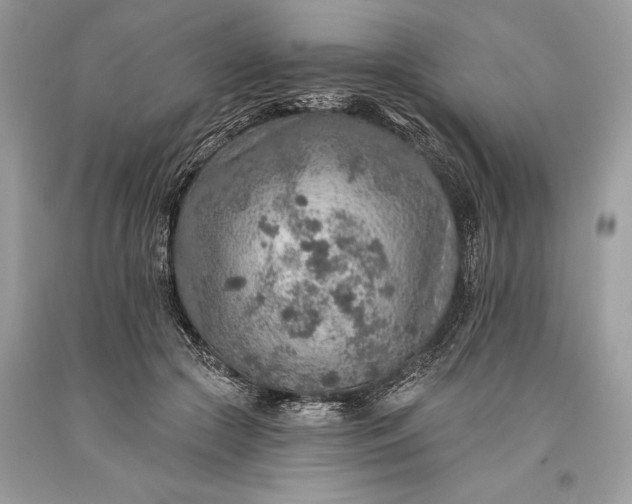 X0000093470553200710261045