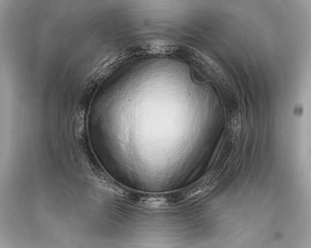 X0000093470554200710261045