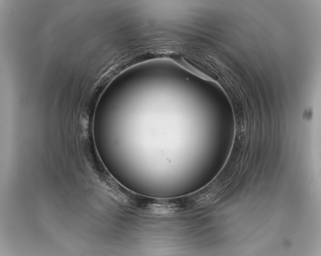 X0000093470556200710261045