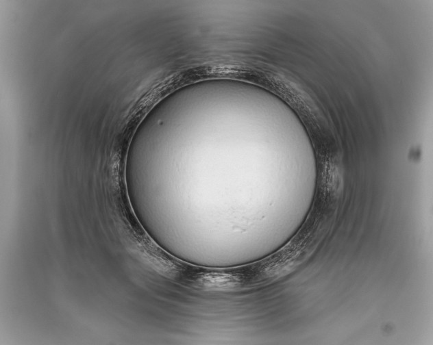 X0000093470557200710261045