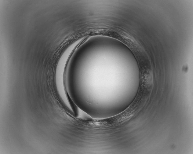 X0000093470558200710261045