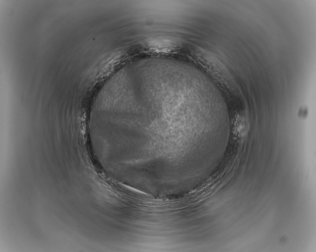 X0000093470559200710261045