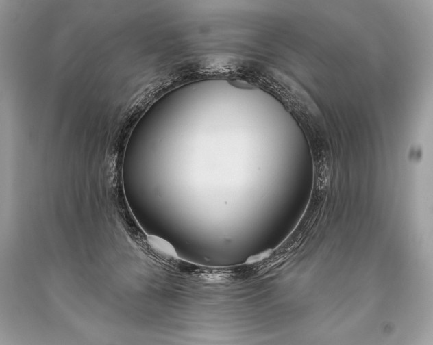 X0000093470560200710261045