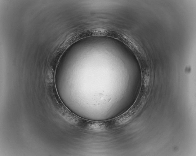 X0000093470561200710261045