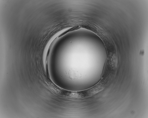 X0000093470562200710261045