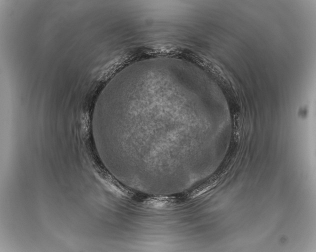 X0000093470563200710261045