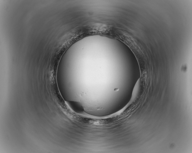 X0000093470564200710261045