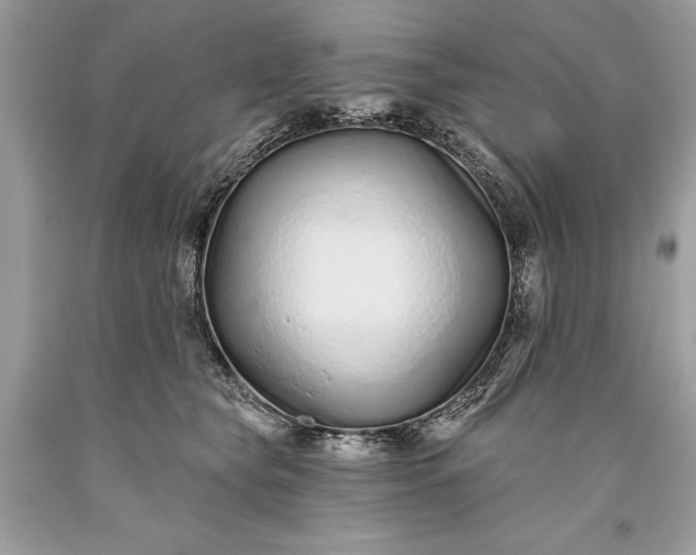 X0000093470565200710261045