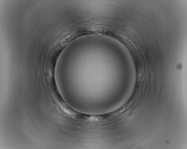 X0000093470566200710261045