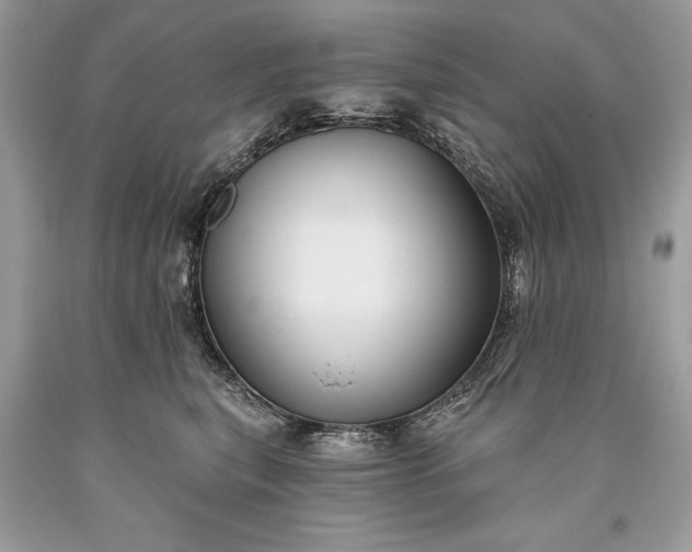 X0000093470567200710261045