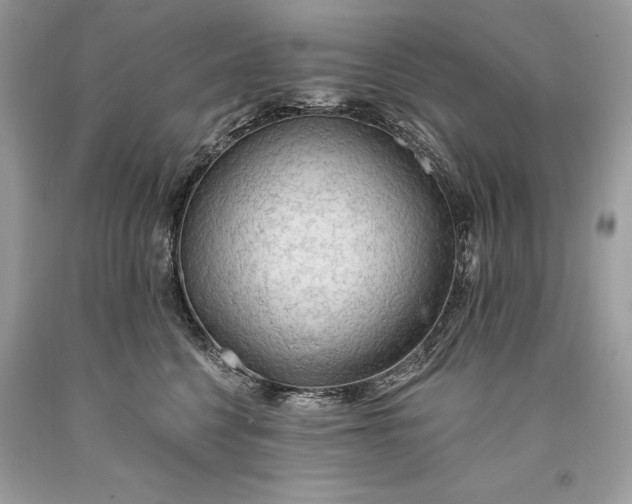 X0000093470568200710261045